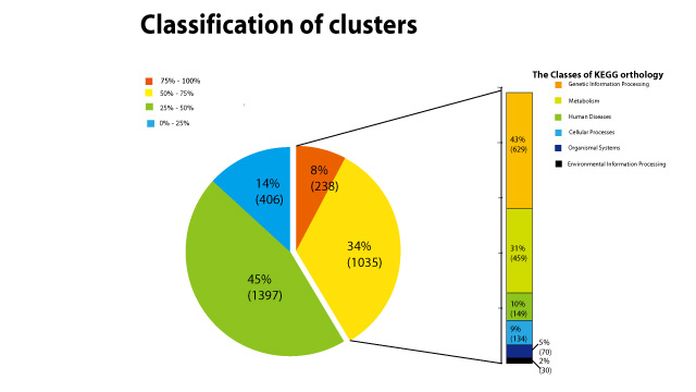 Cluster classification.jpg