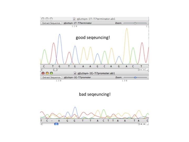 Sequencingresult.jpg